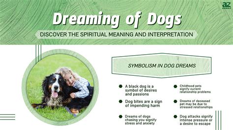 Analyzing the Symbolism of Eliminating Your Beloved Canine Companion in Dreams