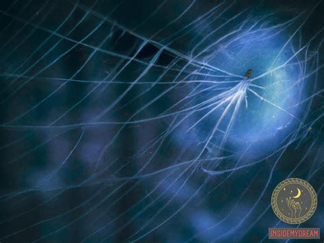 Decoding the Significance of Spider Webs as Potent Symbols in Dreams