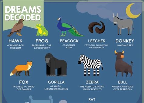 Exploring Other Animal Symbols in Dreams and Decoding their Meanings