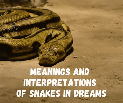 Exploring the Different Interpretations of Dreams Involving Serpents