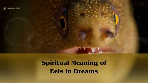 Exploring the Psychological Significance of Dreams Involving Eel Bites