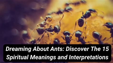 Negative interpretations of dreams involving ants in your house