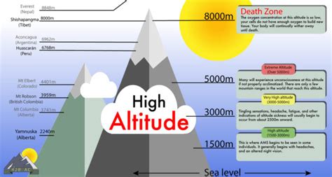 Present Time Stats: Current Age, Elevation, and Body Measurements