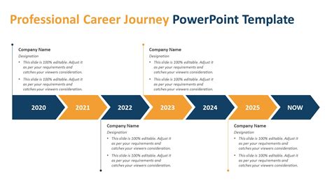 Professional Career Journey