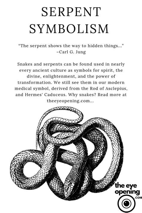 Symbolism and Significance of Serpents in Dream Imagery: Hidden Meanings Explored