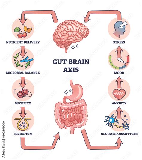 The Connection Between Stress and Dreams of Involuntary Intestinal Activity