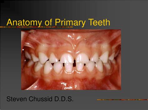 The Physical Aspects of Deciduous Teeth