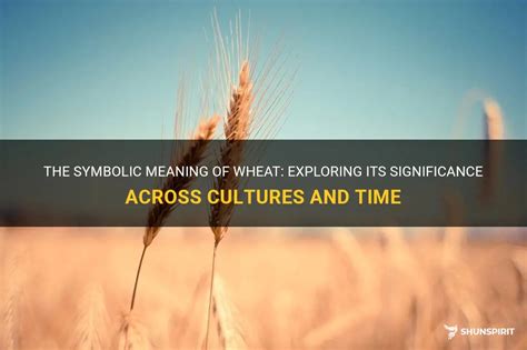 The Symbolic Meaning of Wheat in Cultures across the Globe