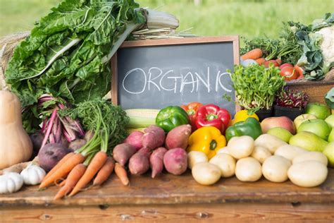  Achieving Success: Maximizing the Benefits of Organic Vegetable Harvesting and Marketing