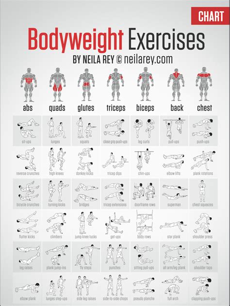  Body Measurements and Fitness Routine 