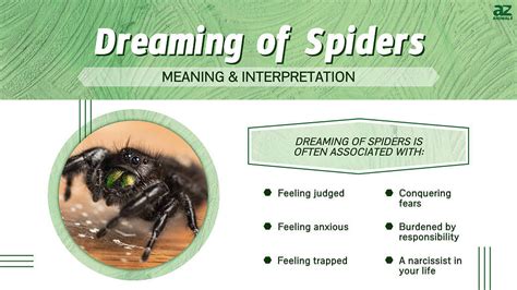  Common Scenarios and Situations in Dreams Involving Little White Spiders 