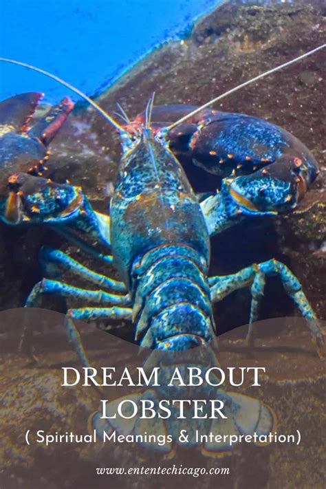 Connecting the Physical and Symbolic Realms: Lobster Bites in Dream Interpretation 