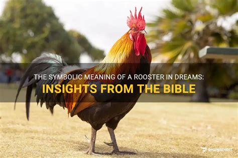  Decoding Symbolic Messages: Gaining Insight into the Rooster's Significance 