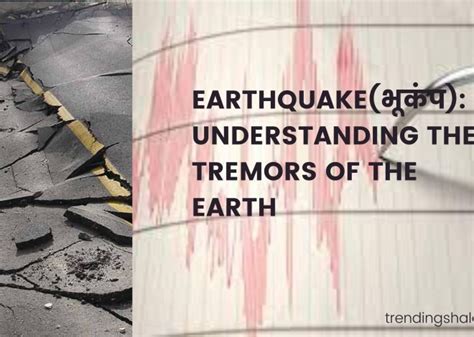  Decoding the Enigmatic Messages of Earth's Tremors: Exploring the Profound Significance 