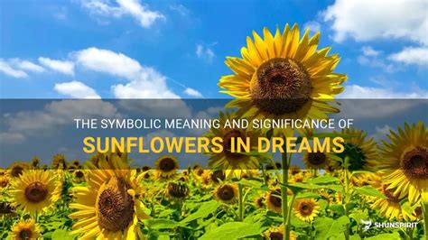  Delving into the Psychological Significance of Dreaming about Sunflower Feasts
