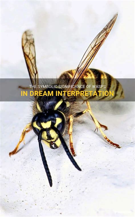  Delving into the Symbolic Significance of Dreams Featuring Wasp Stings 