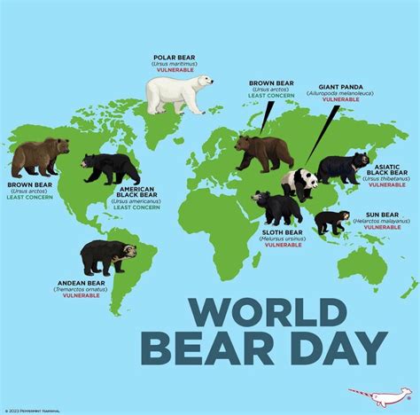  Destinations for Bear Enthusiasts: Top Spots to Witness Majestic Wild Bears around the Globe 