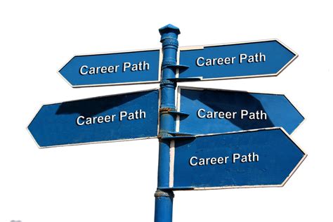  Education and Career Paths 