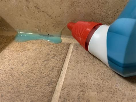  Eliminate Grime and Mold From the Shower 