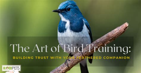  Essential Tips for Training Your Feathered Companion 