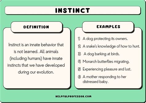  Evolutionary Theories: The Connection Between Animal Dreaming and Survival Instincts 