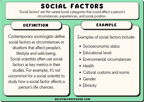  Examining the Impact of Social Factors on the Formation of One's Personality
