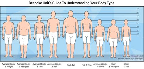  Expectations in Terms of Years, Stature, Body Shape 