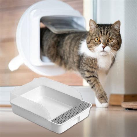  Exploring Alternative Options for Litter Boxes in Homes with Multiple Cats 