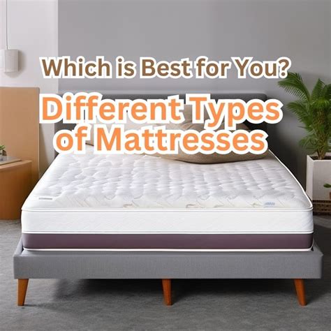  Exploring Various Mattress Options for the Ultimate Comfort 