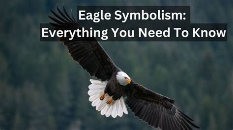  Exploring the Cultural and Historical Perspective of Eagle Symbolism 