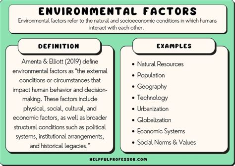  Exploring the Influence of Environmental Factors on Dreams About Tree Removal