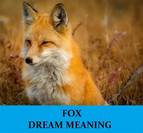  Exploring the Personal Significance and Meanings of Fox Feeding Dreams 