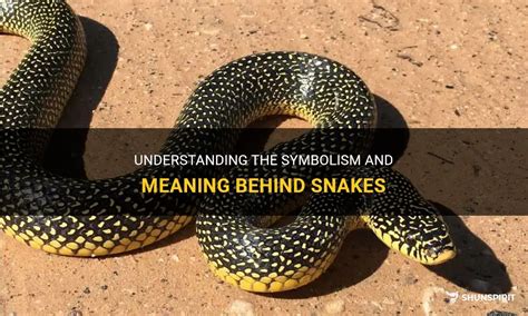  Exploring the Snake's Symbolic Significance in the Context of Transformation 