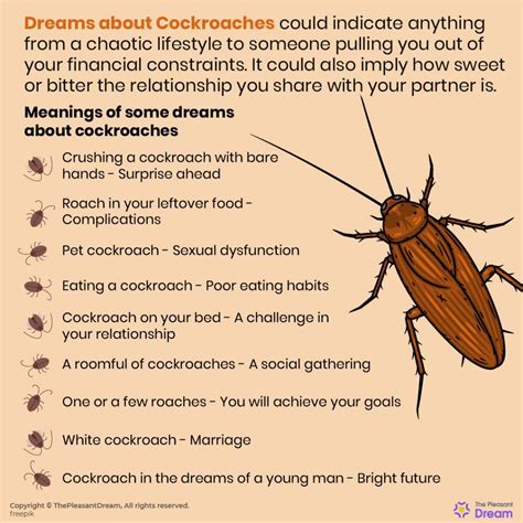  Exploring the Symbolism of Roaches in Dreams 