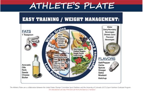  Fitness Regimen and Nutritional Plan of the Talented Athlete 