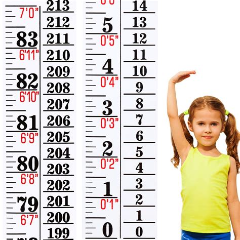  Height: Measurements and Details 