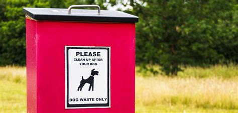  How to Properly Dispose of Canine Excrement in Urban Environment 