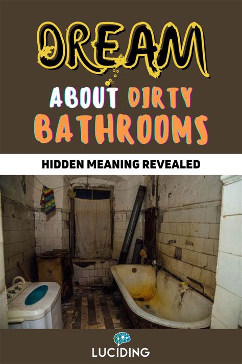  Influence of Cultural Factors on Dreams Featuring Unsanitary Bathroom Facilities 