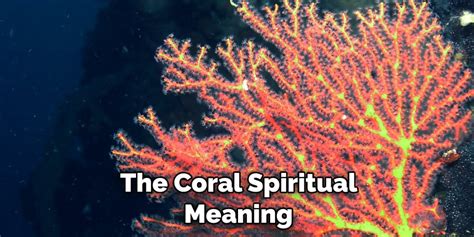  Inner Strength and Confidence Revealed: The Significance of Dreaming about Red Coral 