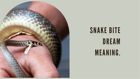  Insights into Snake Bite Dreams: An Alert or an Invitation for Metamorphosis?