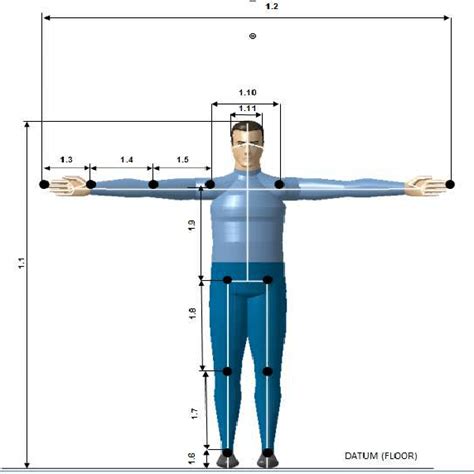  J. Audrey: Stature and Physical Dimensions 