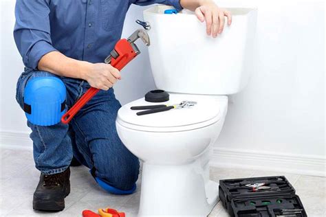  Knowing When to Enlist Professional Help for Toilet Repairs 