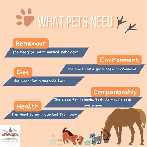  Neglecting Your Pets' Fundamental Needs: A Risk to Their Wellbeing 