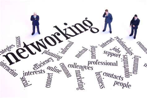  Network and Connect with Professionals in Your Field 