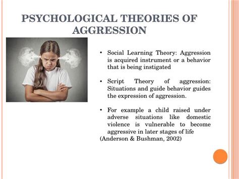  Psychological Explanation for Dreams of Aggression 