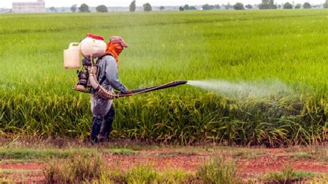  Reducing Dependency on Pesticides and Herbicides