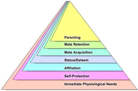  Reflection of physical needs and bodily functions 