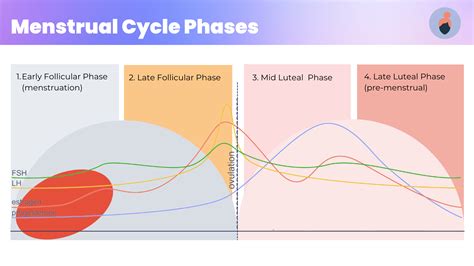  Reflections of the Menstrual Cycle: Exploring the Connection between Dreams and Women's Reproductive Phases 