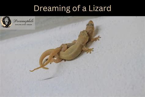  Revealing the Subconscious: Unraveling the Symbolism Found in Lizard Dreams