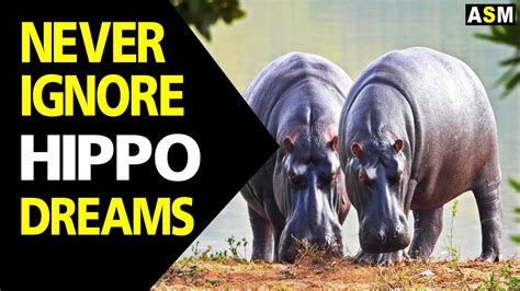  Scientific Perspectives: Insights from Researchers on the Significance of Dream Encounters with Hippopotamus Aggressions 